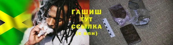 шишки Арсеньев