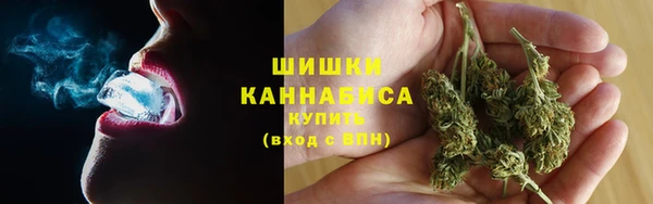 шишки Арсеньев