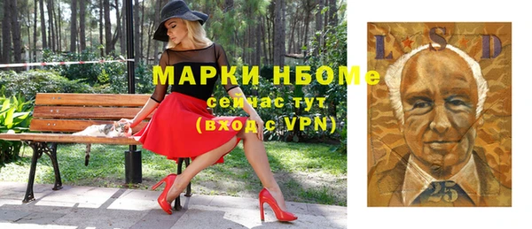 шишки Арсеньев