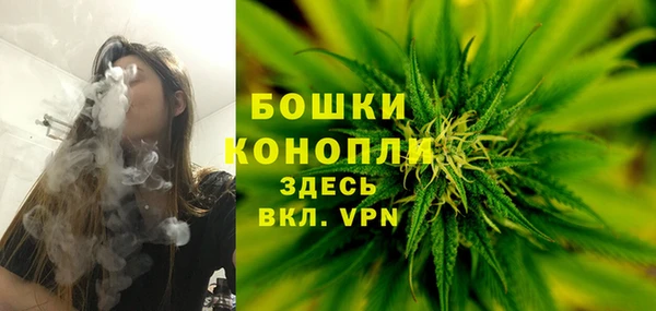 шишки Арсеньев