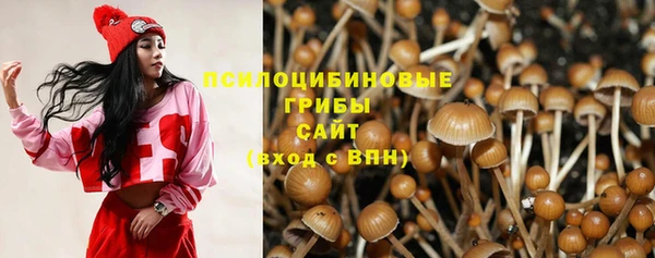 шишки Арсеньев